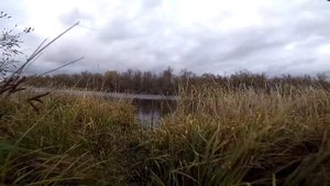 Щука и Окунь на мелководье. Рыбалка в Херсонской области.