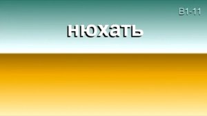 11. Словарный запас B1. Немецкий с Боженой Корн