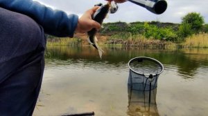 Ловля карася.