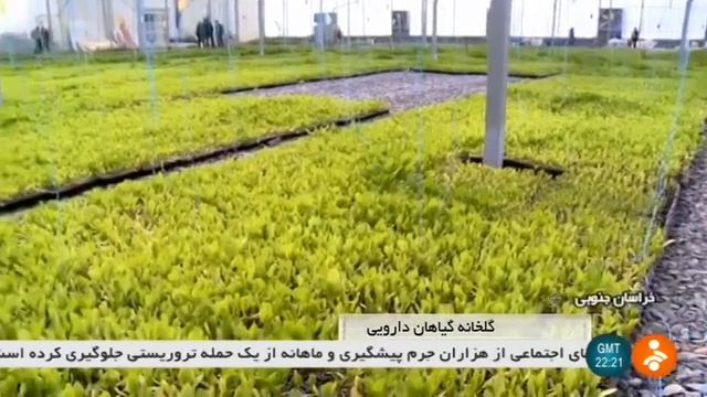 Iran Herbal plants greenhouse, Birjand county گلخانه گياهان دارويي شهرستان بيرجند ايران смотреть онлайн