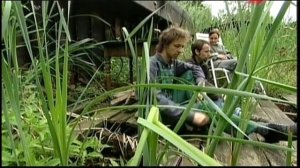 Садовое искусство 21 века №4