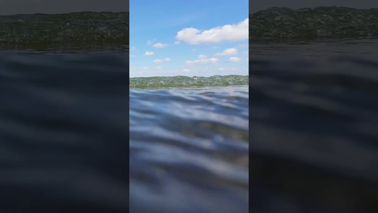 Минское Море #путешествие_в_беларусь #минскоеморе #море_солнце_жара_отпуск2024  #море  #море2024