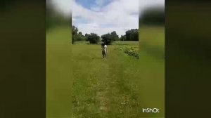 Между нами тает лёд маленькие грибы