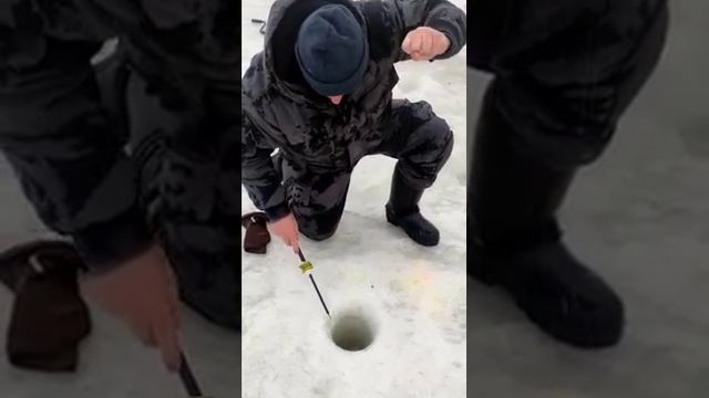 Форель активна!