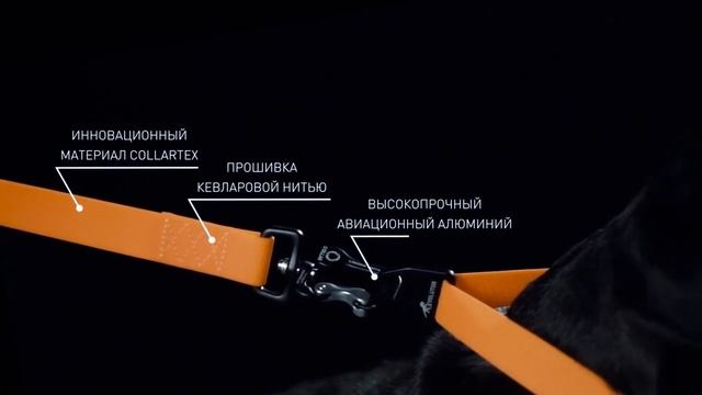 Самые прочный ошейник collar