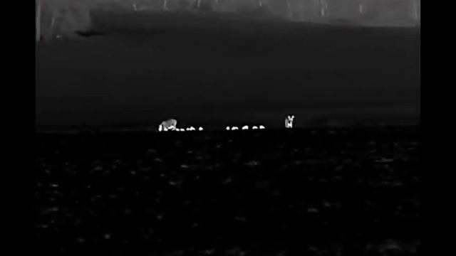 Hicmikro Lynx pro LH25 смотреть онлайн