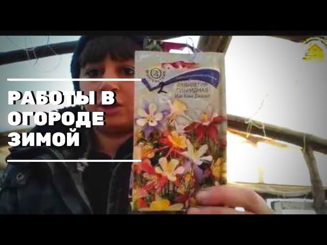 РАБОТЫ В ОГОРОДЕ ЗИМОЙ. ПОБЕЛКА ДЕРЕВЬЕВ. ПОДЗИМНИЕ ПОСЕВЫ. ЖИЗНЬ В ДЕРЕВНЕ.