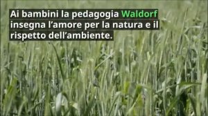 Pedagogia Steineriana- parte 2