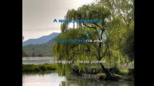 горько плакала ива.