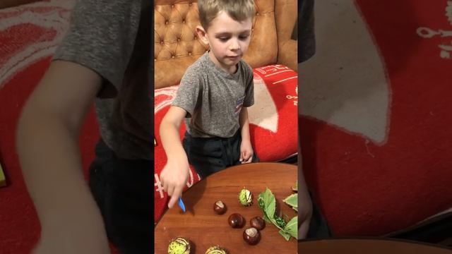 Поделки из каштанов смотреть онлайн