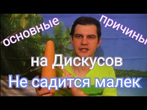 Почему не садится малёк на Дискусов? Советы разводчика №4