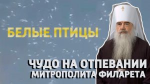 ЧУДО МИТРОПОЛИТА ФИЛАРЕТА: БЕЛЫЕ ПТИЦЫ, КАК АНГЕЛЫ (на прощании)