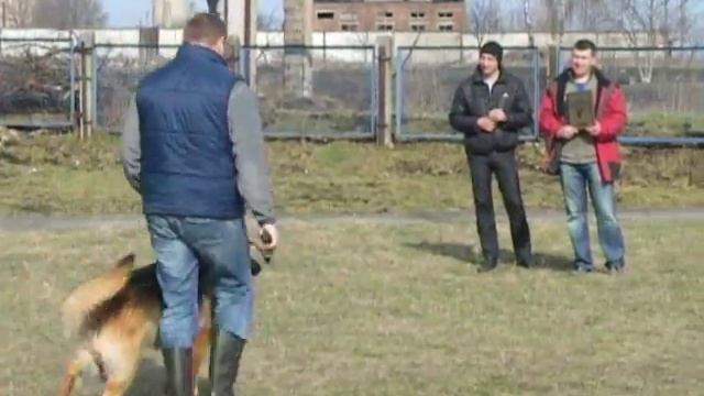 Награждение за лучшую кусачку кобелей(продолжение). смотреть онлайн