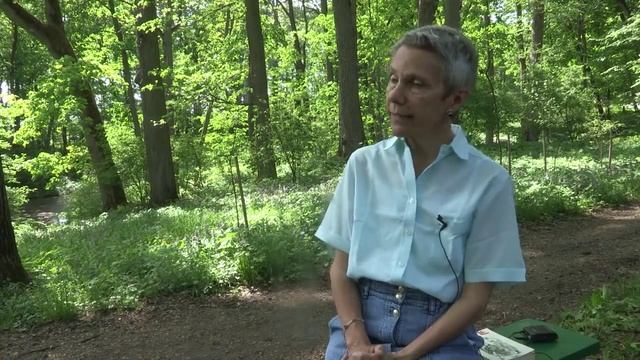 Курсы русского языка как иностранного в Ясной Поляне смотреть онлайн