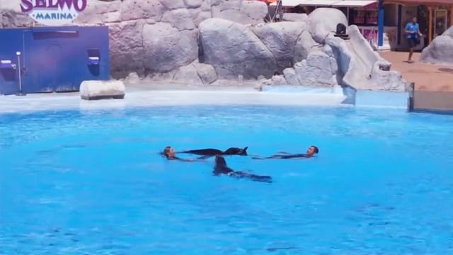 SELWO MARINA BENALMADENA SPAIN смотреть онлайн