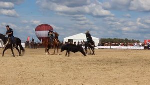 Брянская область. Леденёво. Фестиваль мясного скотоводства "Русское Родео-Мираторг" 07.09.2019 год.
