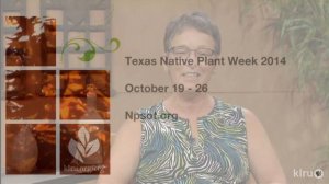 What's the BUZZ about native plants |Native Plant Society |Central Texas Gardener