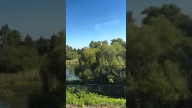 Волочкова Анастасия