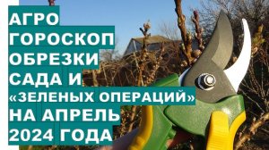 Агрогороскоп обрезки сада зеленых операций в апреле 2024Agrohoroscope for pruning garden in April 20