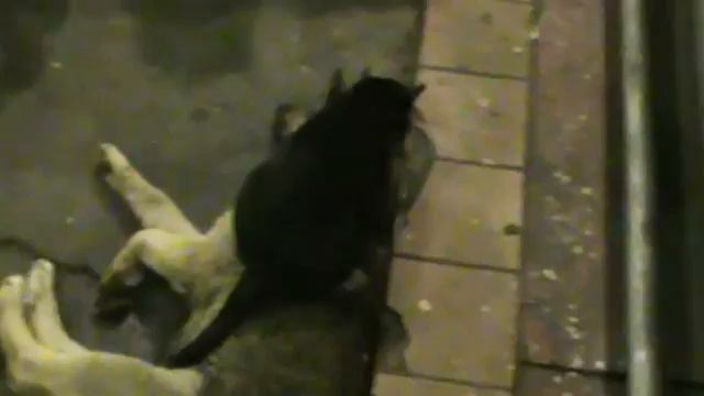 Март. Инстинкт сильнее разума... смотреть онлайн