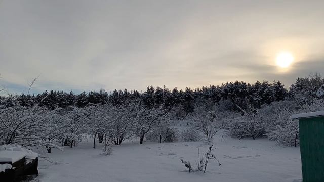 Большой живот в месяц, сколько их будет.