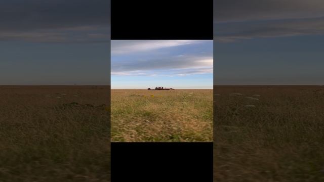 Трактор в поле