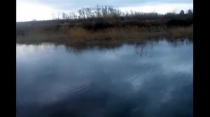 ловим ротана первая весенняя вылазка