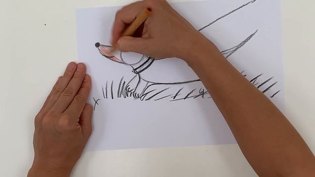 Как нарисовать собаку. Рисуем таксу. Урок рисования для детей.