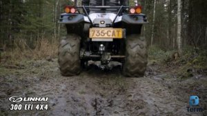 Linhai 300 CC 4x4 (beach buggy)