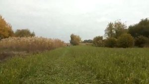 Тз4к14 с родной сегментной косой