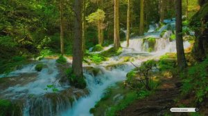 Коран сура Къаф видео 4к Миншави -Minshawiy