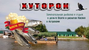 Вобла-2022. Рыболовно-охотничья база ХУТОРОК. Астрахань.