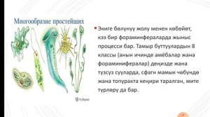 Бир клеткалуу организмдер