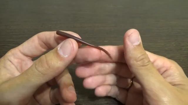 Видеообзор отличного силиконового червя Reins Aji Caro Swamp по заказу Fmagazin смотреть онлайн