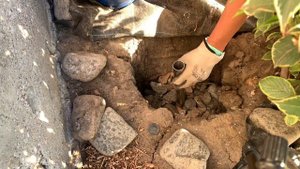 Полив клумб, замульчированных агроволокном, агротканью