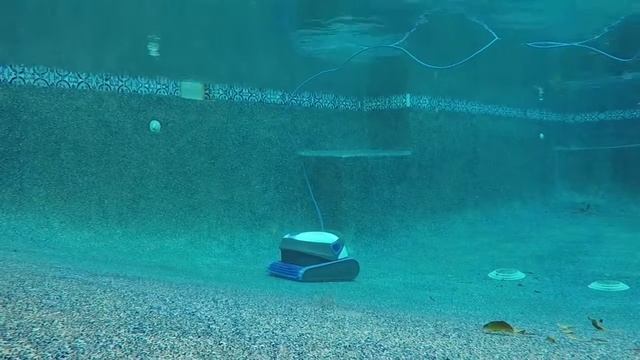 Робот очиститель бассейнов Dolphin S200