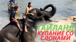 Купание со слонами, катание на слонах. Тайланд 2023 г.