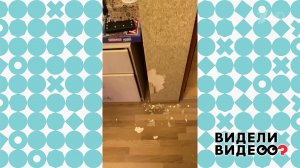 Заколдованный угол. Видели видео? Фрагмент выпуска от 08.01.2024