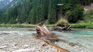 Современная литература. Павел Астахов. Простые чудеса. Новые истории, изменившие жизнь