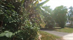 Санаторий МВО и ПВО(РВСН).02.09.19.Абхазия.Сухум