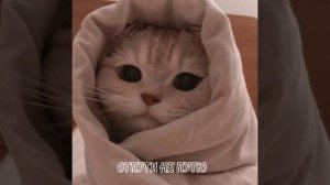 Милана Хаметова, Milana Star - ЛП (атпути не путю, ну кому я говорю) speed up ✨?