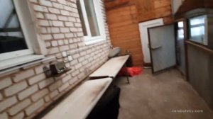 Хранение лука, выгонка 2019 - сорт Штутгарт, Стардаст