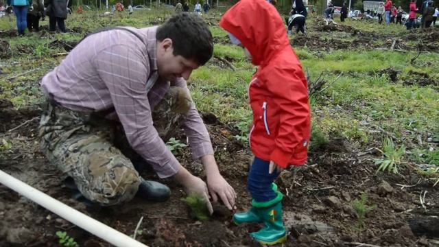 наш лес 2015 Сергиев Посад смотреть онлайн