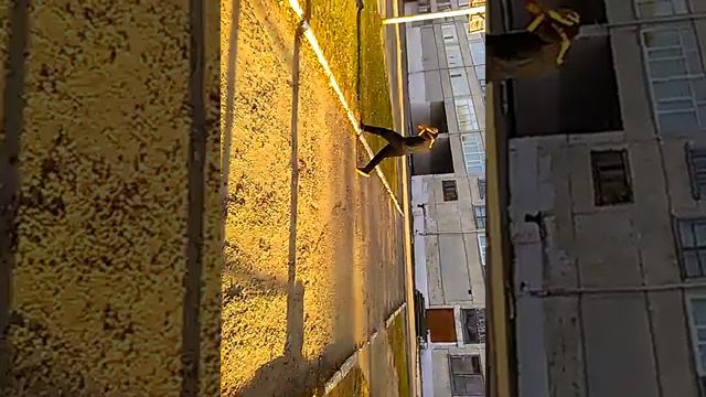 Паркур лесозаводск (2016) смотреть онлайн