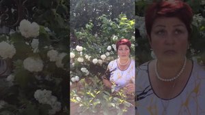 Калина бульданеж
