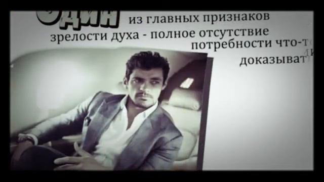 Лучшие цитаты мира смотреть онлайн