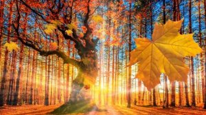 Золотая осень - песня - Александр Тантимо