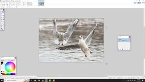 Paint.net Turorial: How to Rotate in Paint.Net