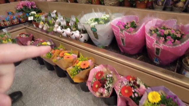 Насекомые в продуктах/Распаковка подарка#потерянныепосылки#влогиизгермании#нашажизньвгермании