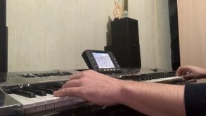 Играю на KORG Pa3x. Самоучка.